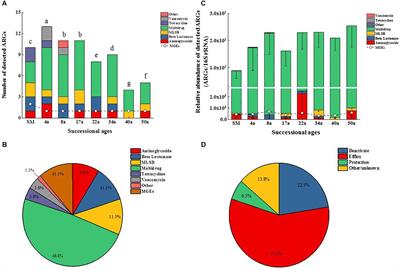 Distribution and Succession Feature of Antibiotic Resistance Genes Along a Soil Development Chronosequence in Urumqi No.1 Glacier of China